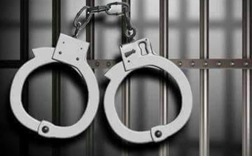 মাদকবিরোধী অভিযানে গ্রেপ্তার ২৯ 