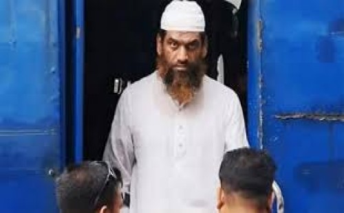 জামিনে মুক্ত মামুনুল হক 