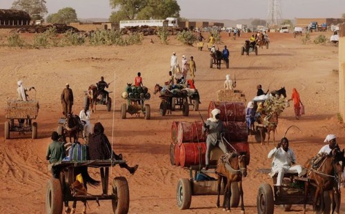 খাদ্যের অভাবে ঘাস ও বাদামের খোসা খাচ্ছে সুদানের মানুষ 
