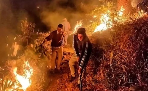 উত্তরাখণ্ডের দাবানলে ৫ মৃত্যু 