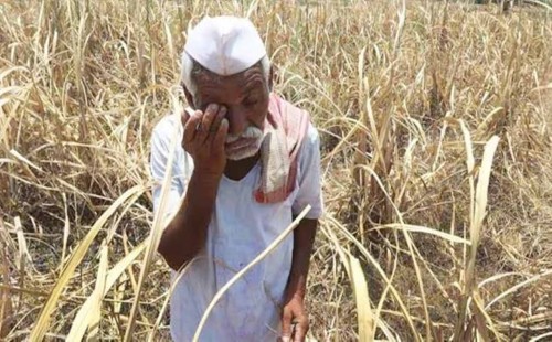 মহারাষ্ট্রে এক বছরে ২,৮৪১ জন কৃষকের আত্মহত্যা 