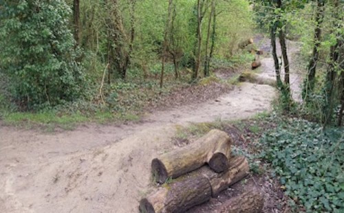 বেলজিয়ামে নাবালকদের সংঘবদ্ধ ধর্ষণের শিকার আরেক নাবালিকা 