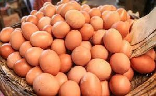 আবারো অস্থির হলো ডিমের বাজার 