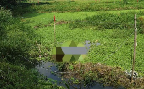 শাবিপ্রবির লেক থেকে শ্রমিকের মরদেহ উদ্ধার 