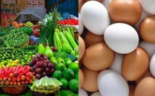 ২ সপ্তাহের ব্যবধানে ডিম হালিতে বেড়েছে ১৫ টাকা 