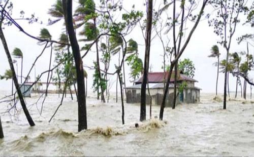 রিমাল এর তাণ্ডবে তছনছ সুন্দরবনের জীববৈচিত্র্য 