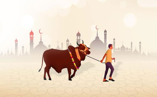 আমিরাতে গরু-ছাগলের দাম কেমন 