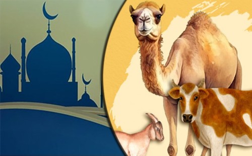 কুরবানি যাদের ওপর করা ওয়াজিব 