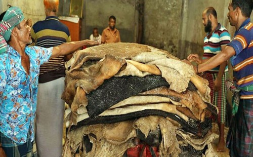 কোরবানির পশুর চামড়ার দাম নির্ধারণ 