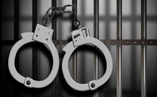 মাদকবিরোধী অভিযানে গ্রেপ্তার ২১ 