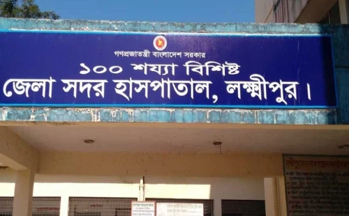 লক্ষ্মীপুরে বাসচাপায় নানা-নাতনির মৃত্যু 