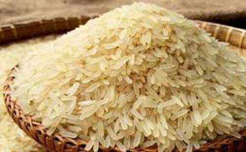 স্বস্তি নেই চালের বাজারে 