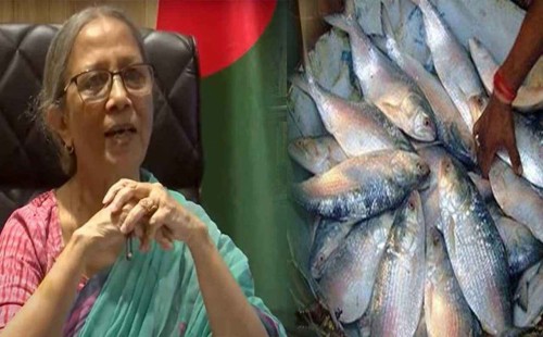 ‘ভারতে কোনো ইলিশ পাঠাতে পারবো না’ 