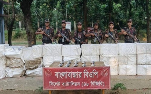 সুনামগঞ্জ সীমান্তে ২২ লাখ টাকার ইলিশ জব্দ 