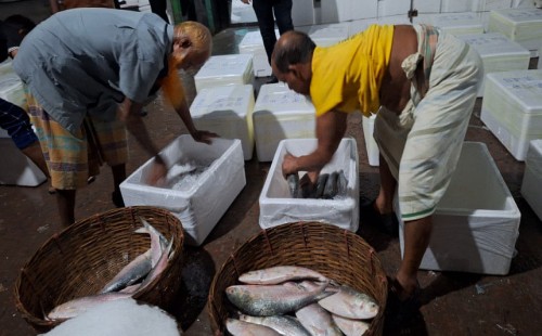 বরিশালে ইলিশের কেজি ১৭০০ টাকা, ভারতে যাচ্ছে ১২০০ টাকায় 
