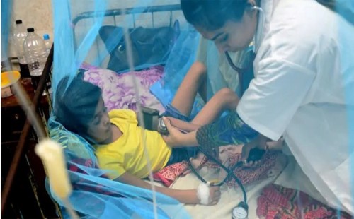 ডেঙ্গুতে একদিনে ৮ মৃত্যু, নতুন রোগী ১০১৭ 