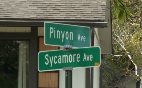 ২০ বছর আগে নিখোঁজ কিশোরীর খণ্ডিত লাশ ফ্রিজে 