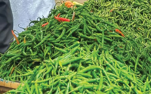 ভারত থেকে এলো ৪৯৮ টন কাঁচামরিচ 