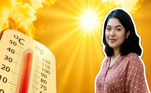 চিফ হিট অফিসার হিসেবে কত টাকা বেতন পেতেন বুশরা? 