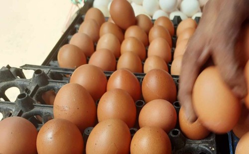 রাজধানীতে কমেছে ডিমের দাম 