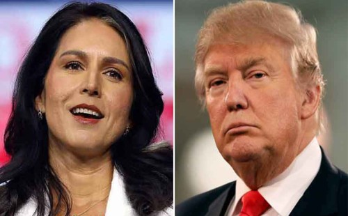 মার্কিন গোয়েন্দা সংস্থার প্রথম হিন্দু পরিচালক তুলসী 