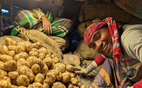 মুন্সিগঞ্জে ৫৫ টাকায় বিক্রি হচ্ছে কাটা আলু! 