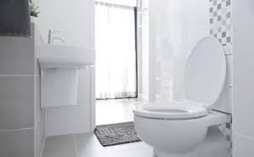 টয়লেট সবসময় পরিষ্কার রাখার কৌশল 