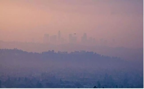 ছড়াচ্ছে দাবানলের ধোঁয়া, ঘরে থাকার পরামর্শ 