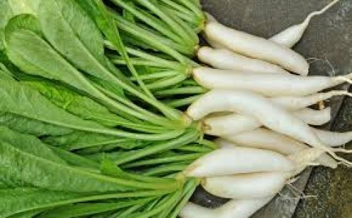 মূলা শাকের যত গুণ 