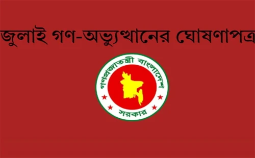 ঘোষণাপত্রের উদ্দেশ্য স্বচ্ছ হতে হবে: সালাউদ্দিন আহমেদ 
