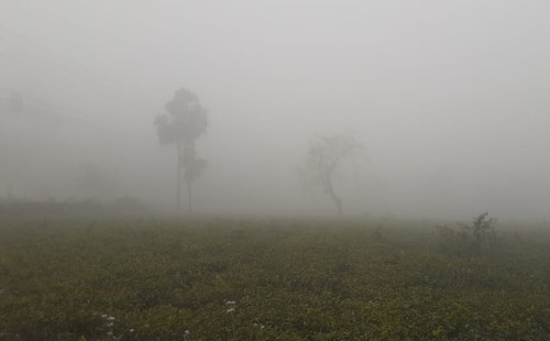 শৈত্যপ্রবাহ কাটলেও পঞ্চগড়ে কমছে না শীতের দাপট 