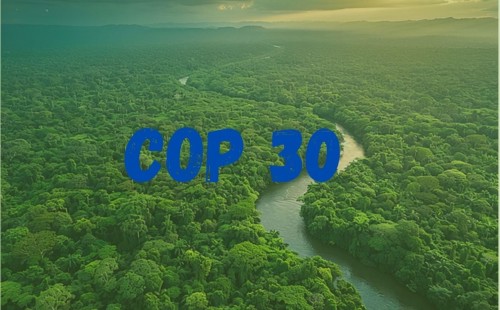 চীনের ‘অসাধারণ’ জলবায়ু অগ্রগতির প্রশংসায় ব্রাজিল 