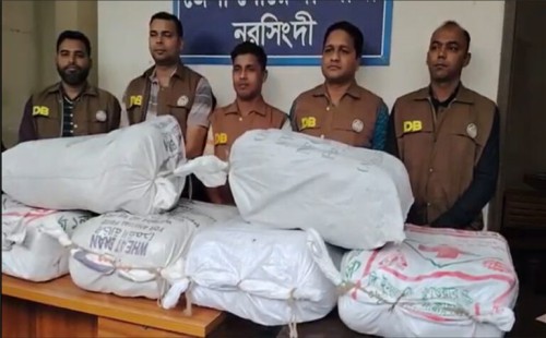 ডিবির অভিযানে প্রায় ১০০ কেজি গাঁজা উদ্ধার 