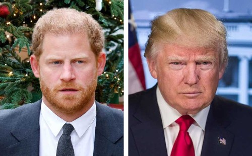 ‘অবৈধ’ হ্যারিকে তাড়াবেন ট্রাম্প? 