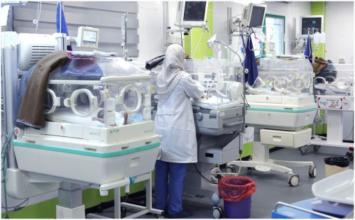 তীব্র শীতে গাজায় ছয় নবজাতকের মৃত্যু 