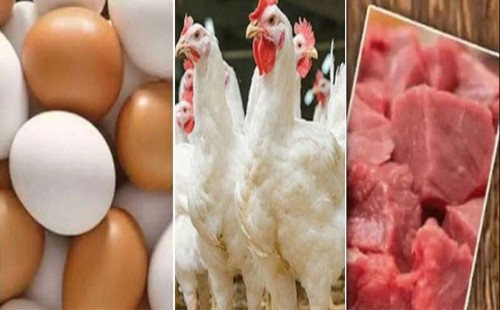 ২৫ স্থানে মিলবে কম দামের ডিম-মুরগি-গরুর মাংস 