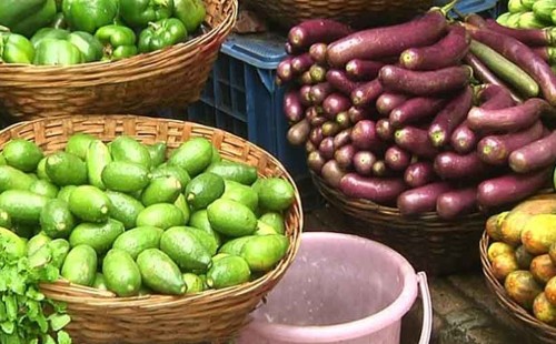 শতকের ঘরে লেবু, শসা ও বেগুন 