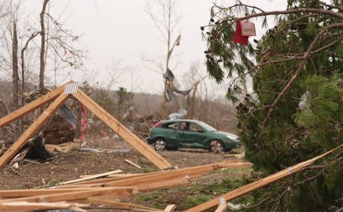 নিহতদের জন্য ট্রাম্পের শোক 
