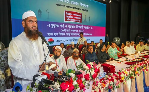 বিএনপি আবু তালেবের, আর আওয়ামী লীগ আবু জাহেলের ভূমিকায়: মামুনুল হক 