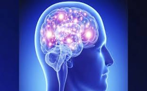 যে কারণে মস্তিষ্ক শুকিয়ে যায় 