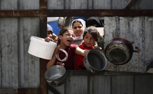 কচ্ছপের মাংস খাচ্ছে গাজাবাসীরা 