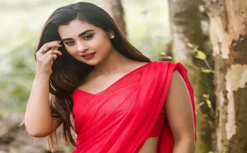 একসঙ্গে তিন সুখবর দিলেন শবনম বুবলী 