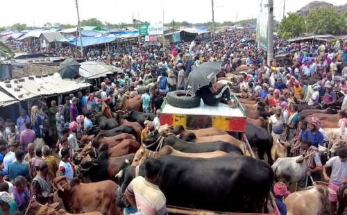 ঈদে ১০ দিনের ছুটি 