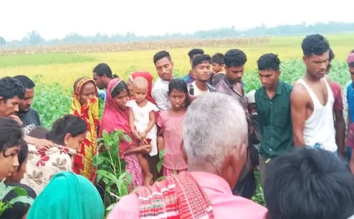 পাটক্ষেতে মিললো নারীর মরদেহ, পুড়িয়ে দেওয়া হয়েছে মুখমণ্ডল 