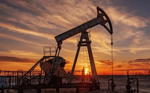 তেলের দাম বেড়েছে 