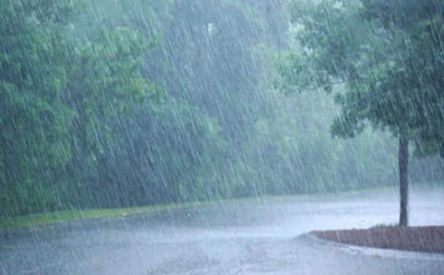 বৃষ্টিতে মাটির সোঁদা গন্ধের রহস্য 