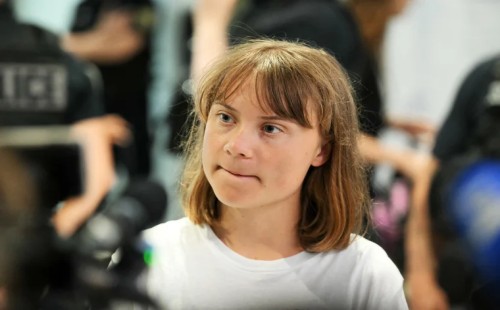 দেশে ফিরেছেন থুনবার্গ 