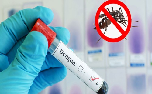 ডেঙ্গুতে বছরের সর্বোচ্চ মৃত্যু আজ 