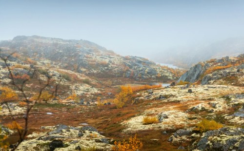 কার্বন শোষণে সাময়িক আশা 