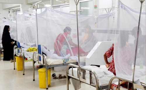 ডেঙ্গুতে আরও ২ জনের মৃত্যু, নতুন শনাক্ত ১৫৯ 